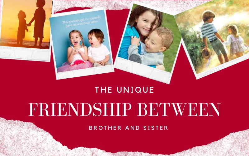Brother and Sister Quotes in Hindi