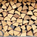 12 Point Firewood Wisconsin
