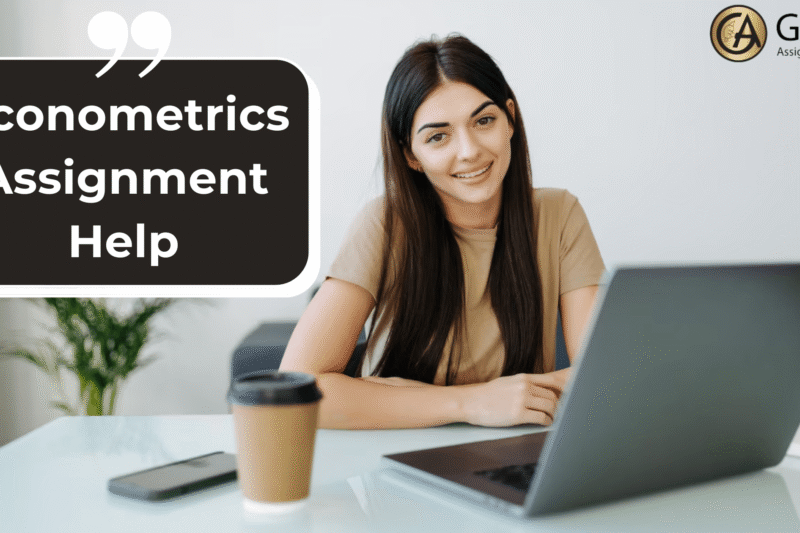 Why Students Struggle with Econometrics Assignments