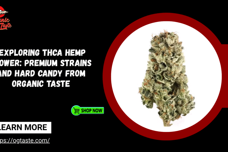  Exploring THCA Hemp Flower: Premium Strains and Hard Candy from Organic Taste
