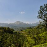 Kerala trips from Ahmedabad