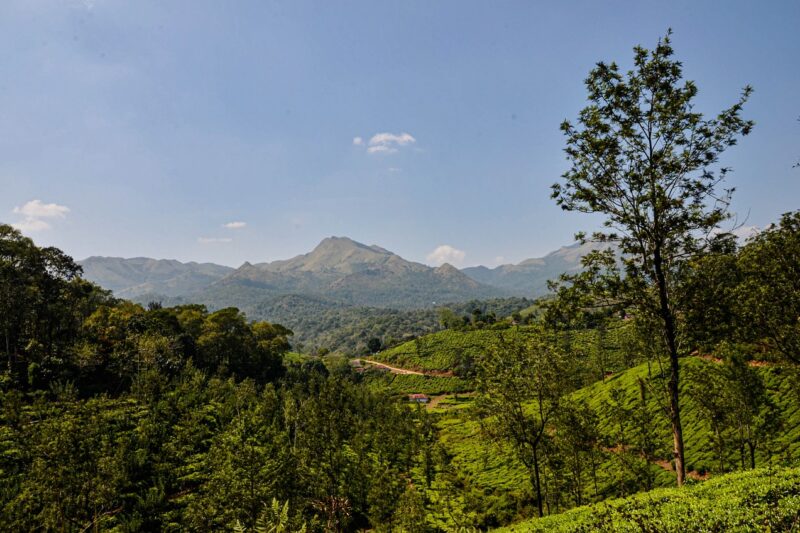 Kerala trips from Ahmedabad : Top 5 romantic places for couples