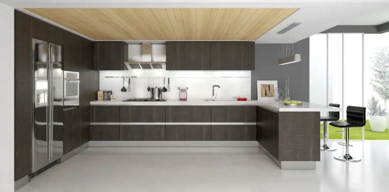Modern Kitchen Cabinetry