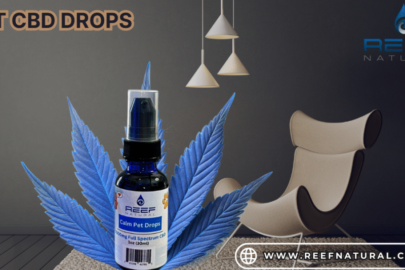 Pet CBD Drops: Safe & Natural Wellness for Dogs | Reef Natural