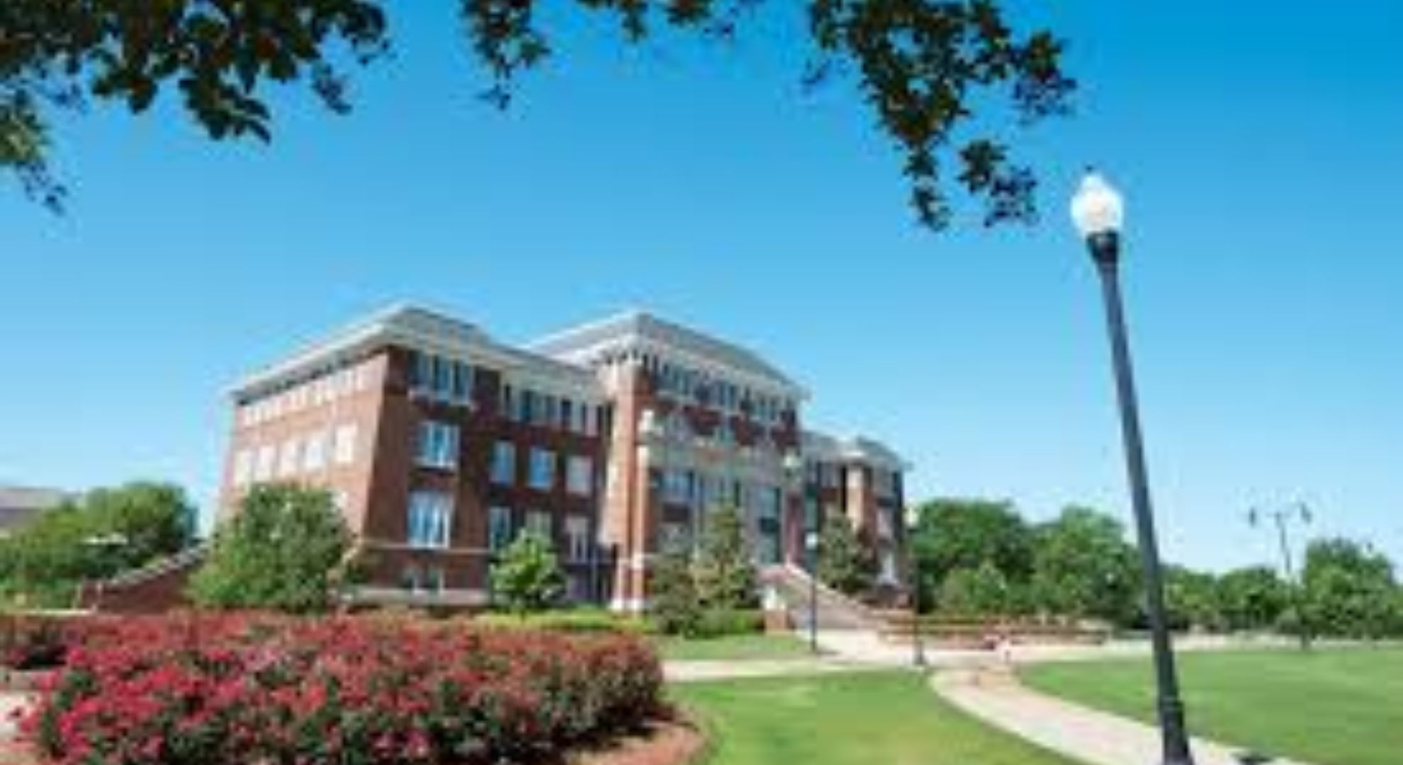 University of Mississippi image