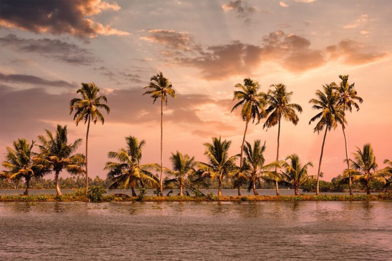 Kerala Family Packages – Backwaters, Hills and Scenic Beauty