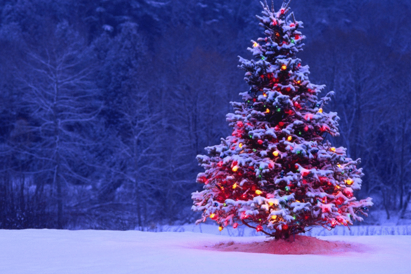 The Magic of Decorating a 10 Feet Christmas Tree: Tips and Inspiration
