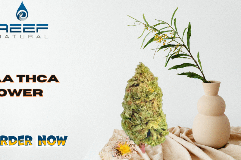 Premium AAA THCA Flower in Bulk: Reef Natural’s Sativa, Hybrid & Indica Strains