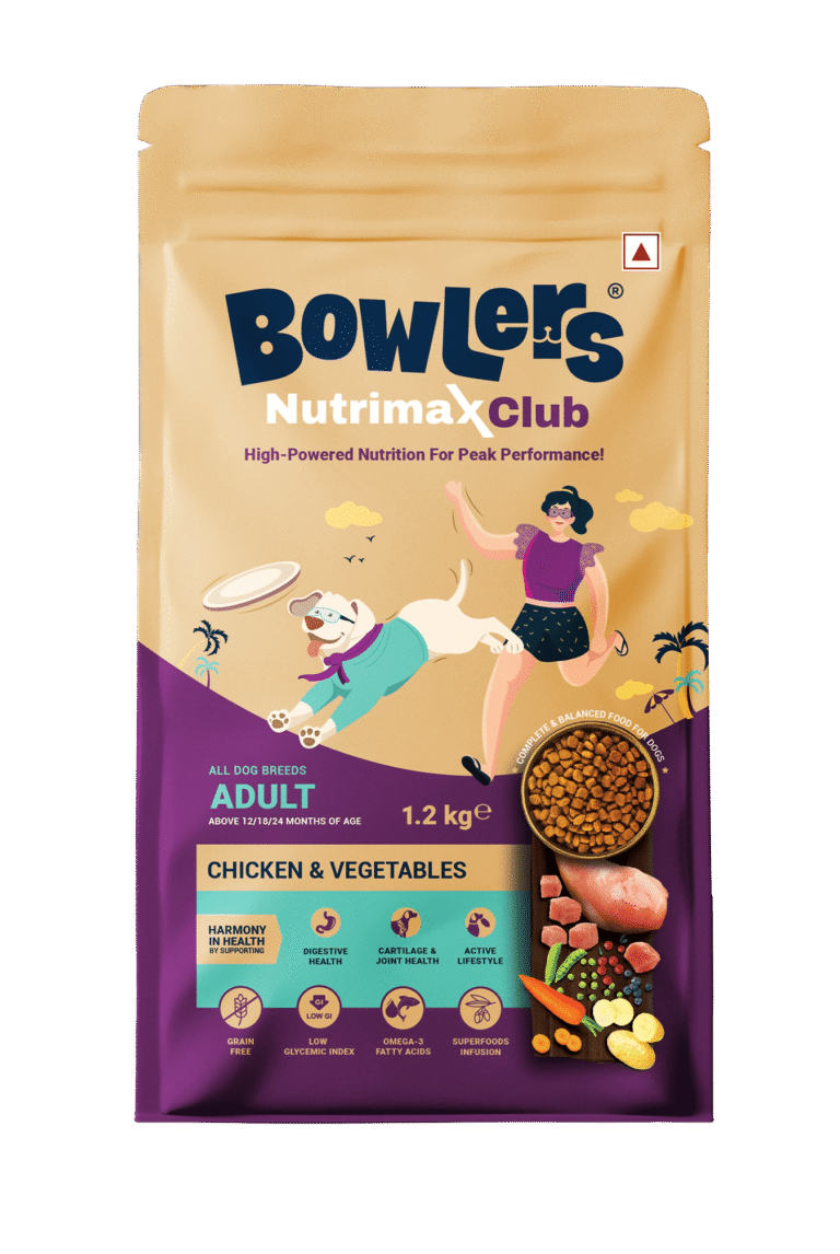 Overweight Dogs: How Proper Nutrition Can Help Weight Management