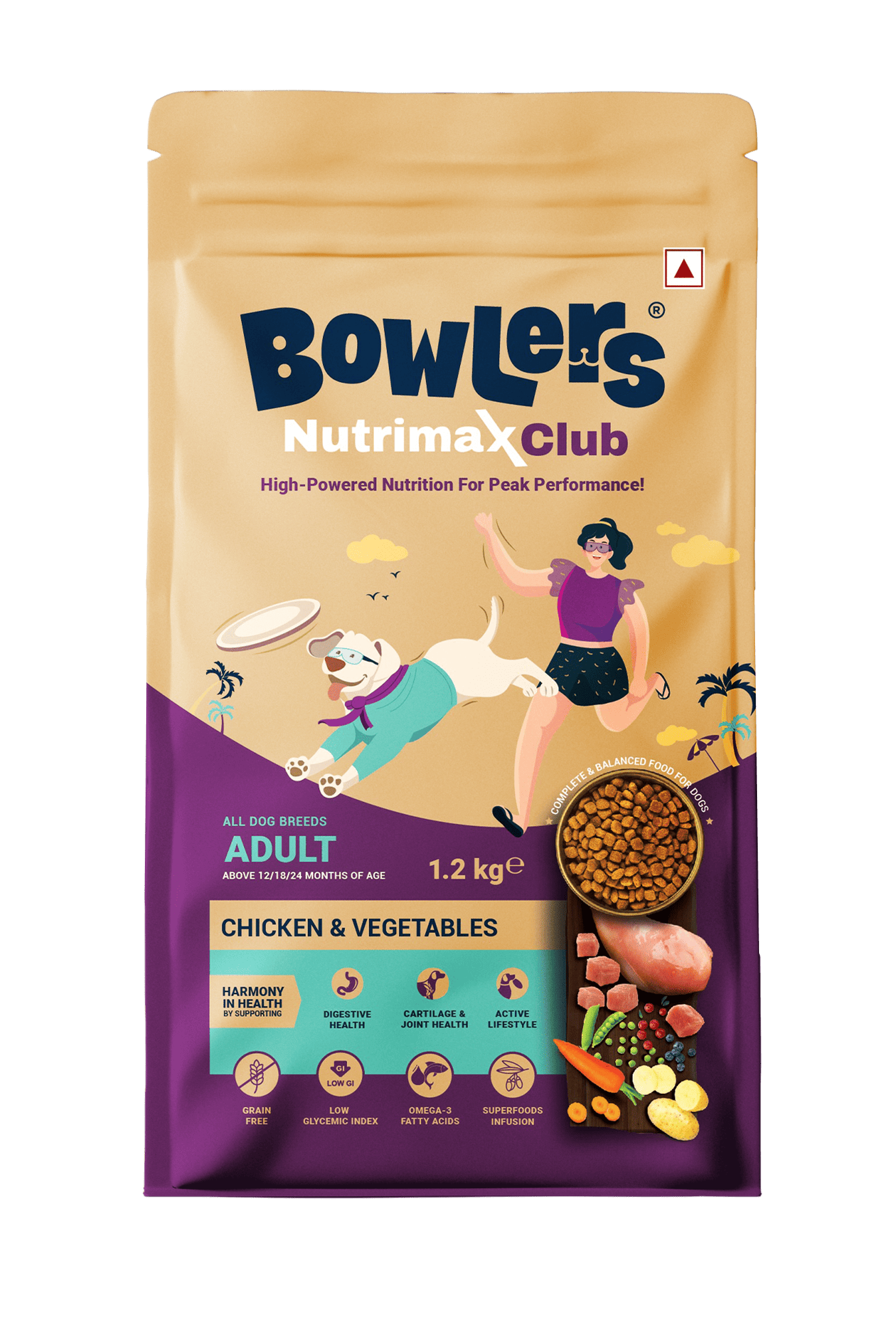 Overweight Dogs: How Proper Nutrition Can Help Weight Management