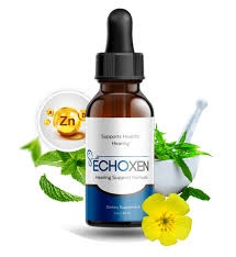 EchoXen Logo