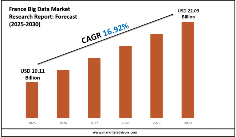 France Big Data Market