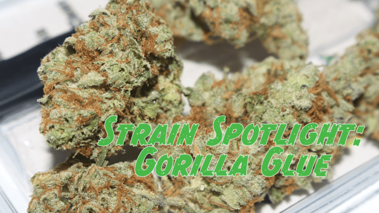 Gorilla glue Strain
