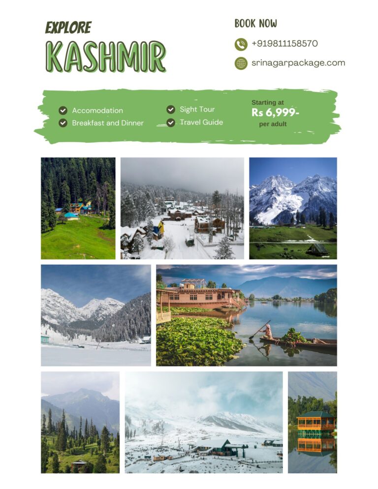 Green and White Photo Collage Kashmir Travel Flyer