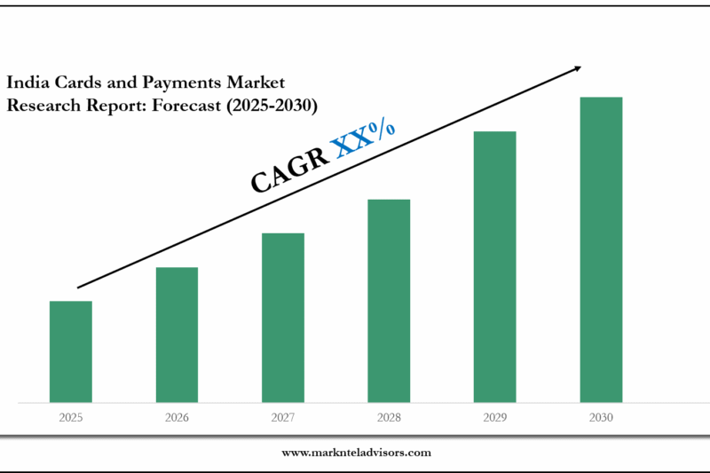 India Cards and Payments Market 2030: Key Companies, Player Strategies & Forecast