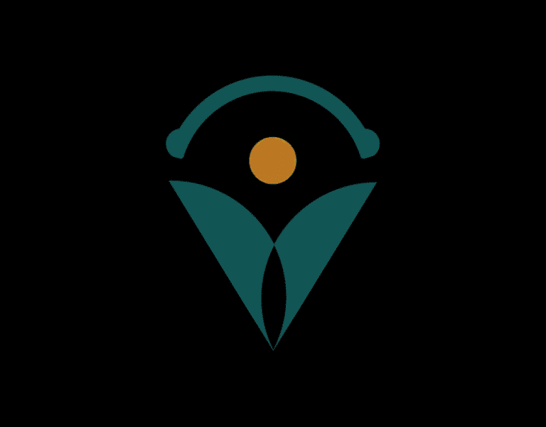 virtual medical scribe