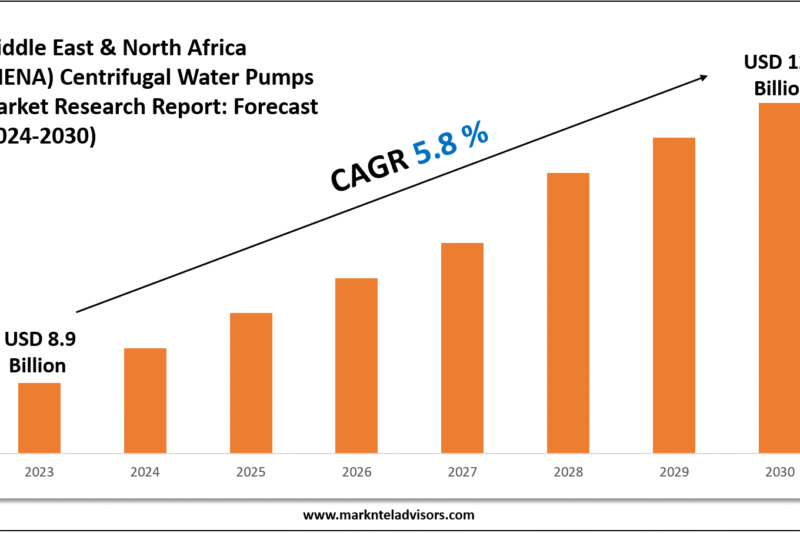 Middle East & North Africa (MENA) Centrifugal Water Pumps Market Size, Growth Drivers and Forecast Analysis 2030
