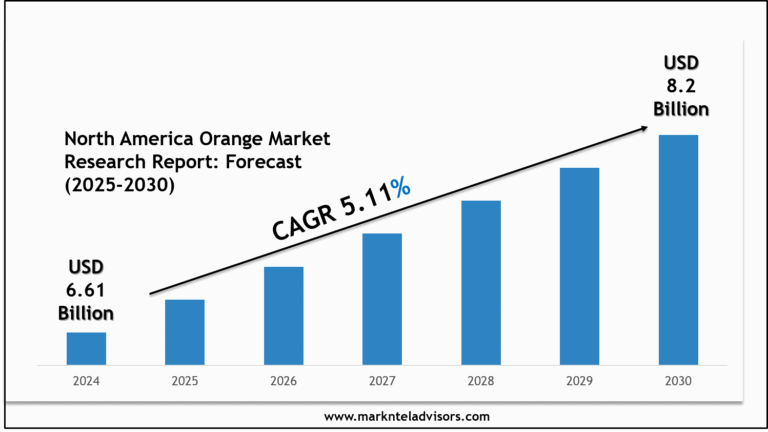 North America Orange Market