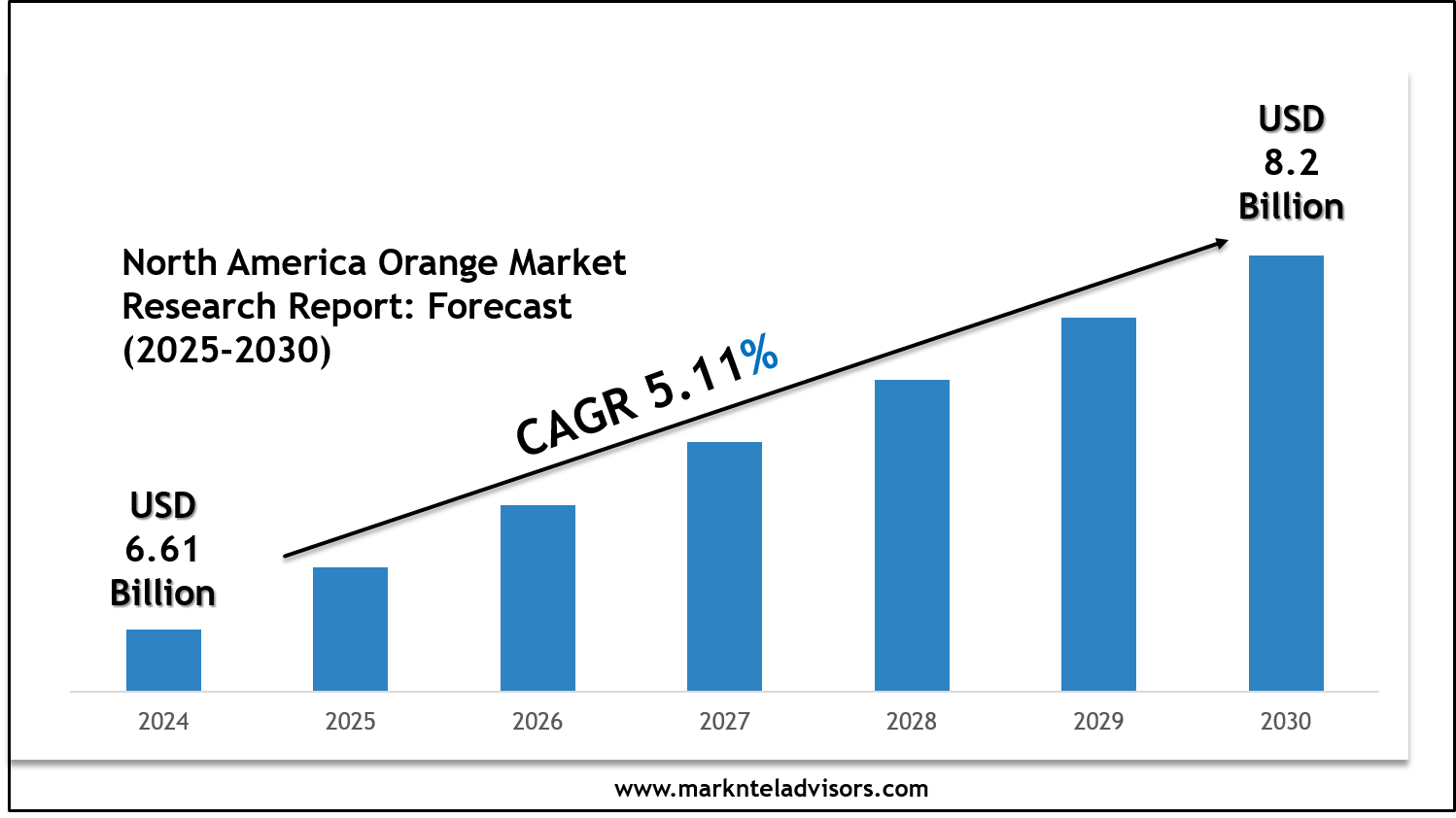 North America Orange Market