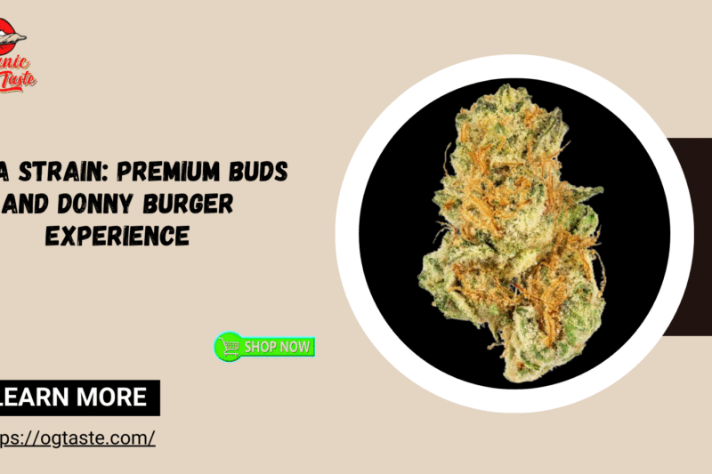 THCA Strain: Premium Buds and Donny Burger Experience