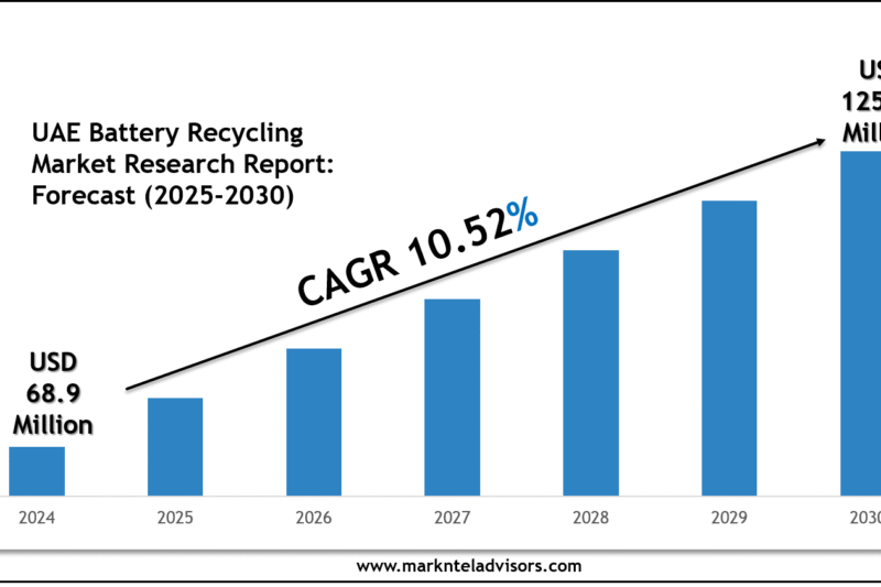 UAE Battery Recycling Market Size, Share & Forecast Analysis to 2030