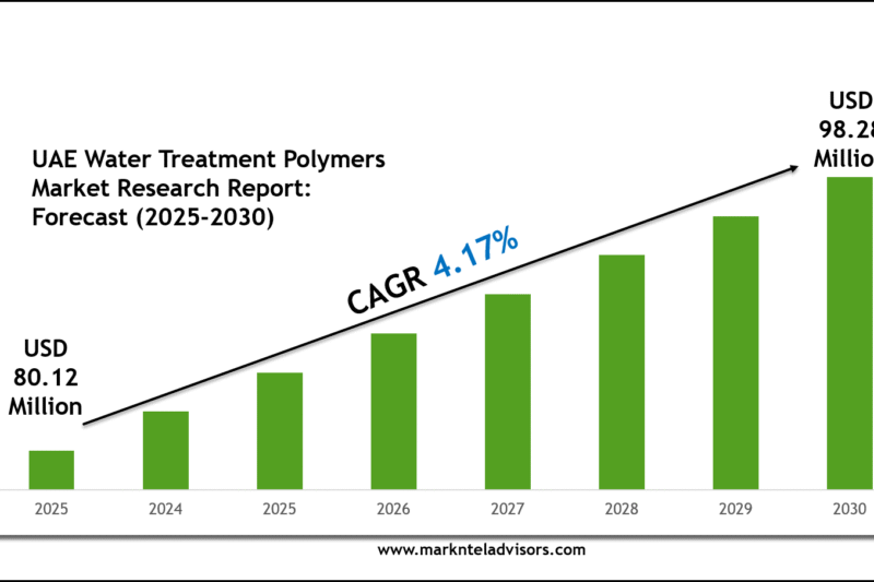UAE Water Treatment Polymers Market Forecast 2030: Key Players & Emerging Trends