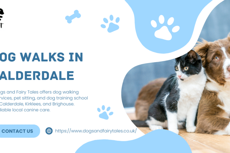 Scenic Dog Walks in Calderdale – Trusted Local Care for Your Pets