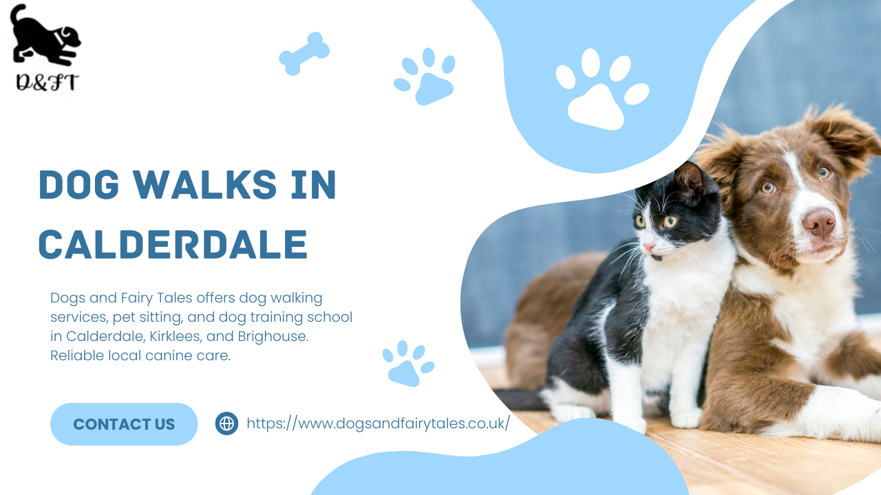 dog walks in Calderdale