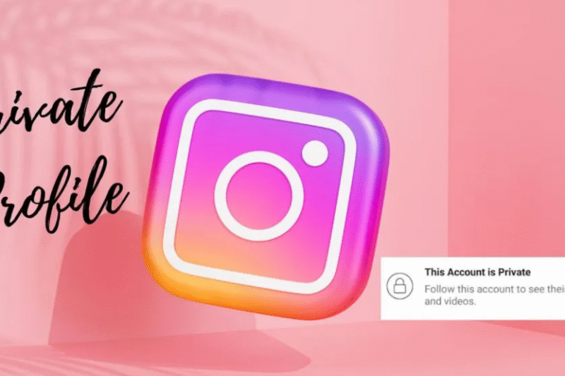 Narrative Shifts The Dynamic Elaboration of Instagram’s Visual Stories