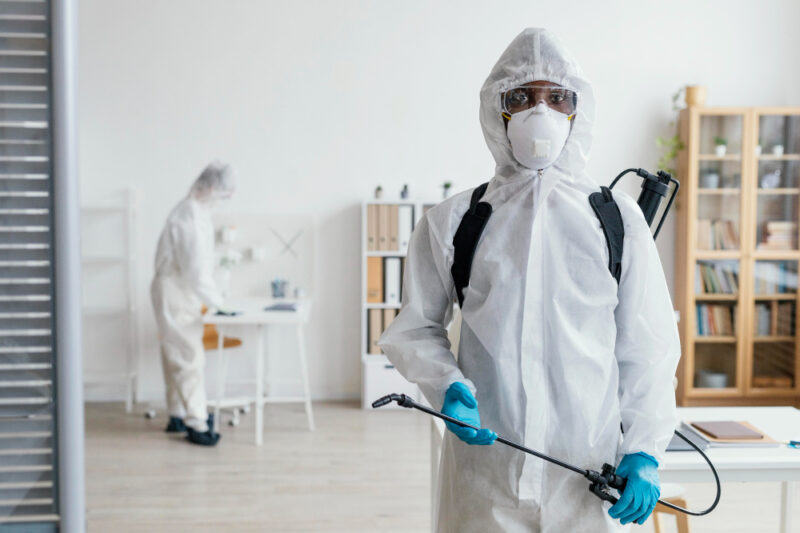 Seasonal Pest Control Tips: Keep Bugs Away All Year Round