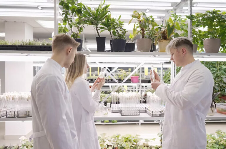 Organic Fertilizer UAE