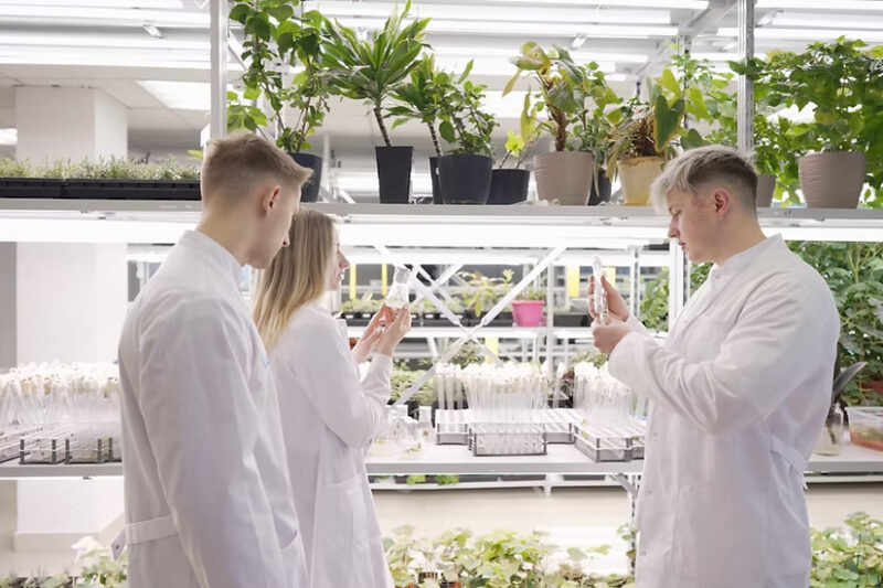 Why Organic Fertilizers Are Essential for UAE’s Eco-Farming Future