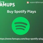Buy Spotify Plays