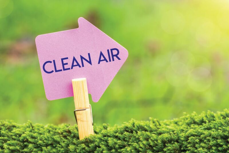 Transform Your Space with Pure, Clean Air