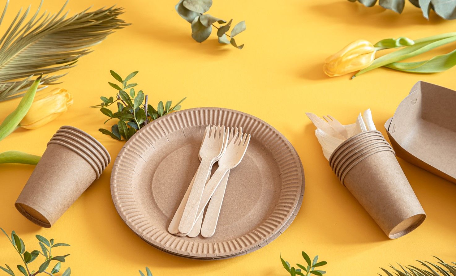 Disposable_plates_72080f639a