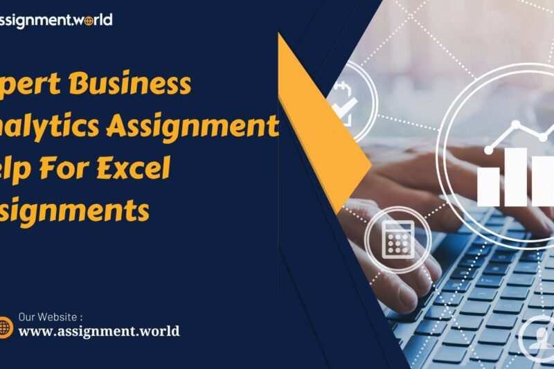 Expert Business Analytics Assignment Help For Excel Assignments