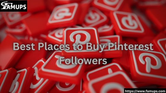 Best Places to Buy Pinterest Followers