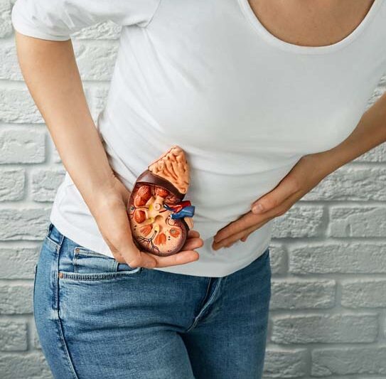 Comprehensive Kidney Stone Treatment in Jaipur: Everything You Need to Know
