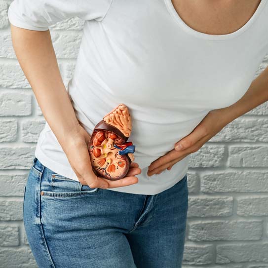 Kidney Stone Treatment in Jaipur