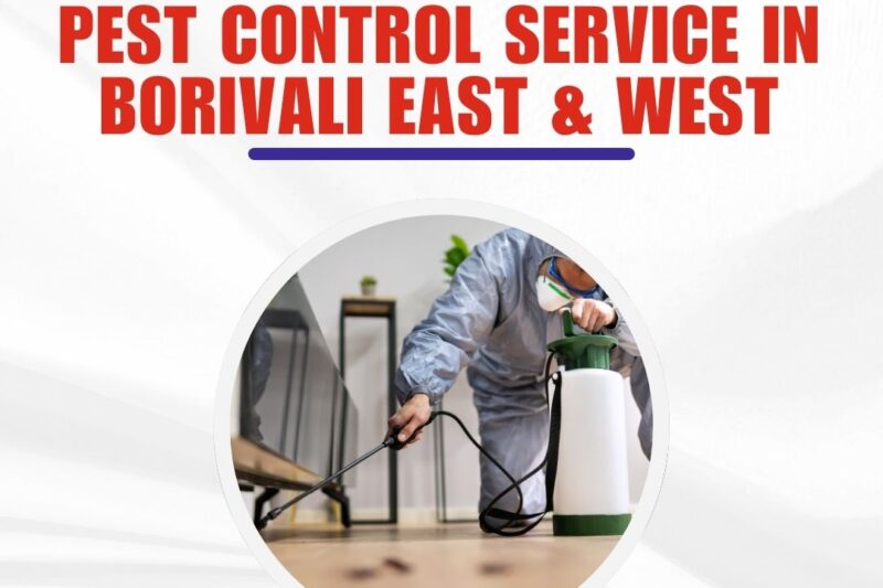 What Makes Aastha Pest Control Service in Borivali Reliable and Affordable