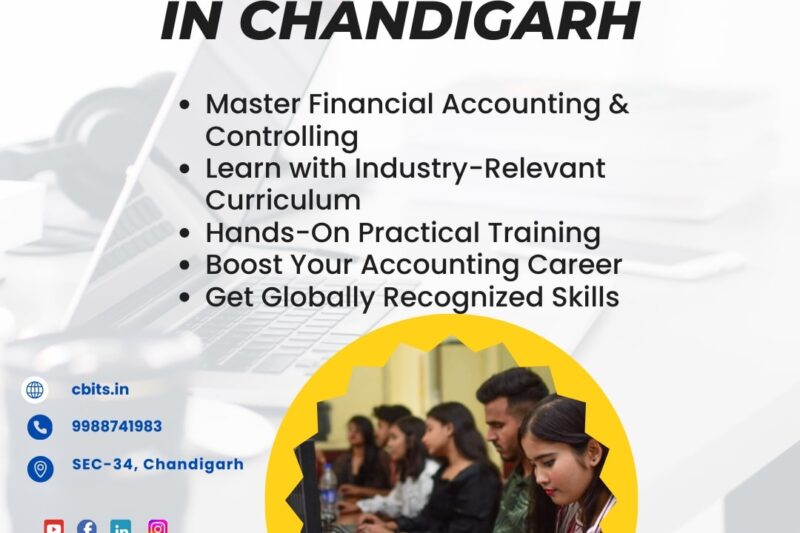  Professional Learn Financial Accounting and Controlling Modules