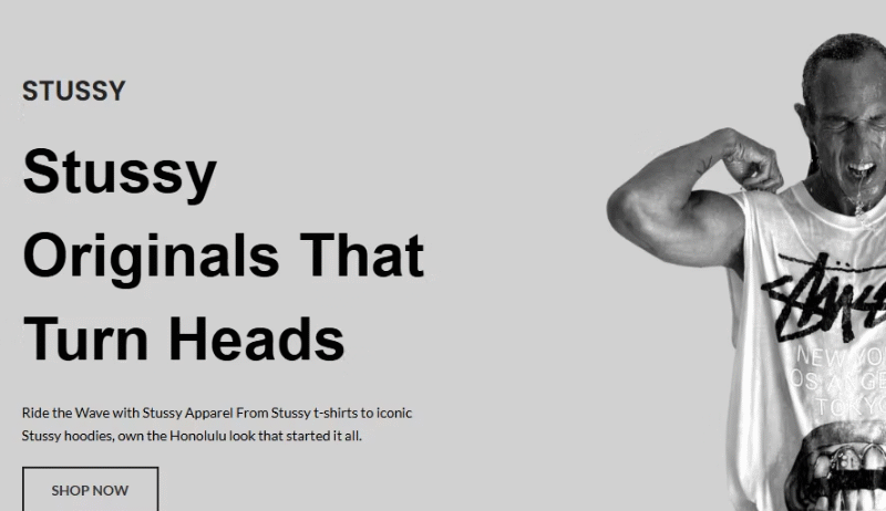 Stussy The Streetwear Pioneer