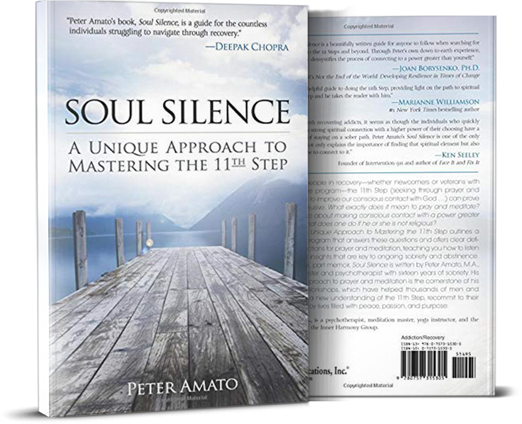 Soul Silence A Unique Approach Book