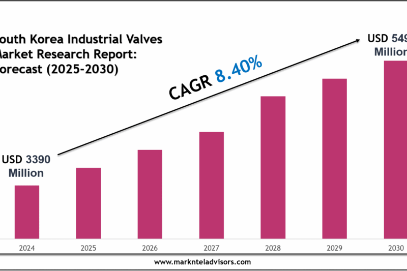 South Korea Industrial Valves Market 2030: Size, Growth Drivers & Competitive Landscape
