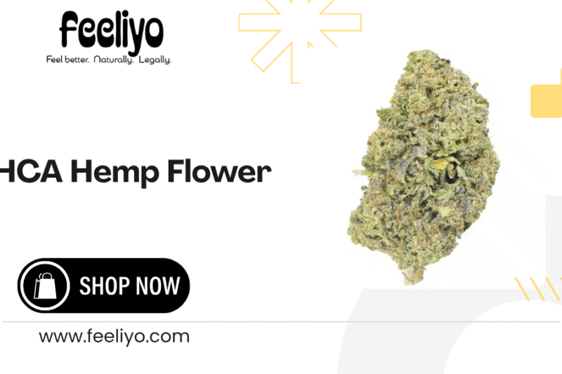 Discover the Best THCA Hemp Flower: Gas House Indoor Flower