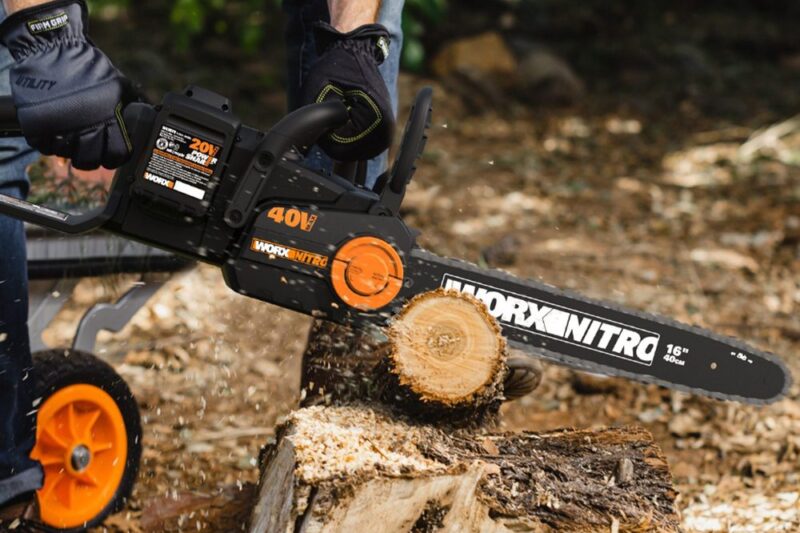 Caring for Your Canopy: The Power of tree pruning Bloomfield MI