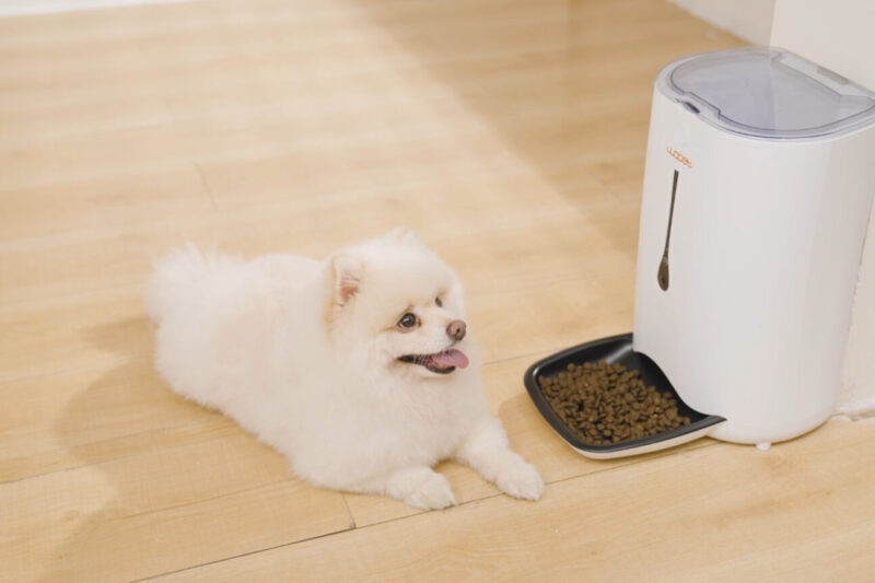 Smart Pet Feeders with Camera Control in 2025 | Reviews Buying Guide