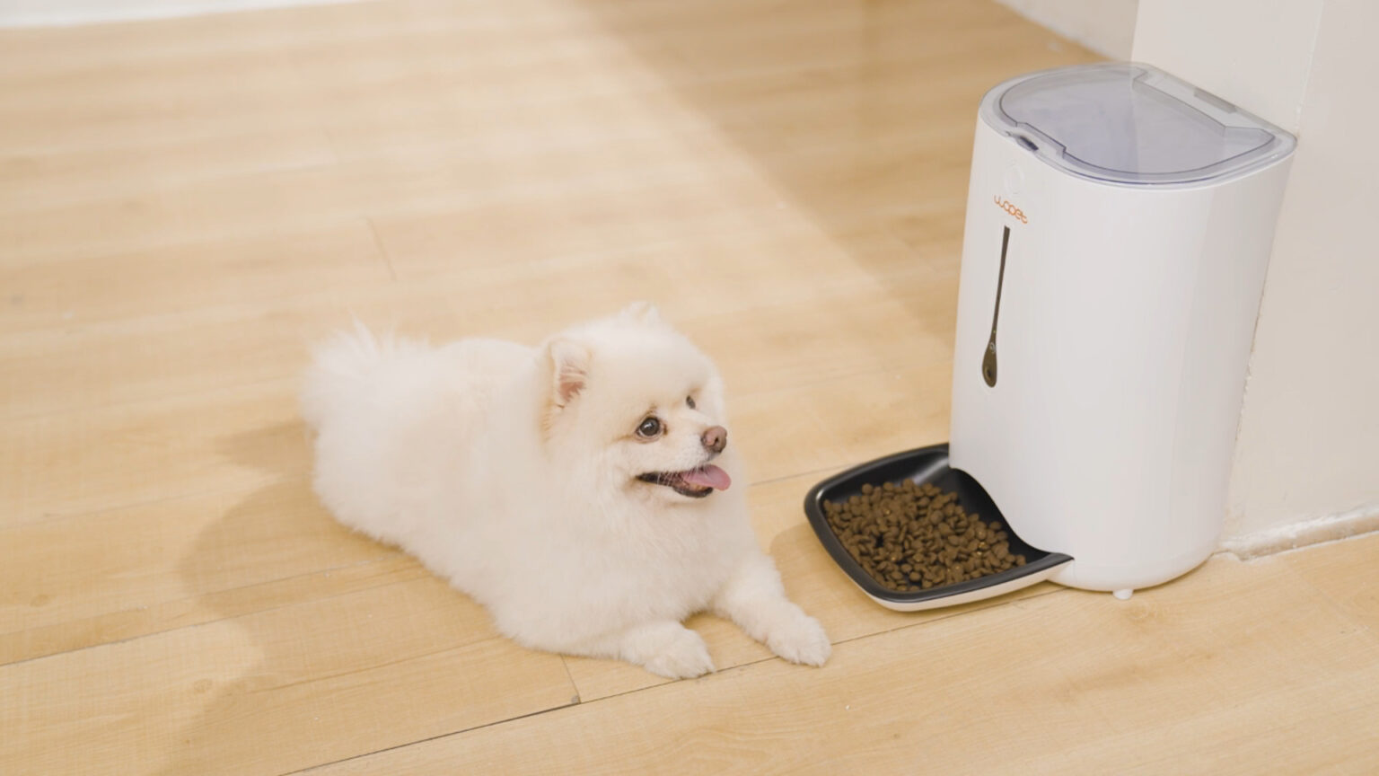 WOPET-SmartFeeder-Pro-with-1080p-HD-Camera-1536x864