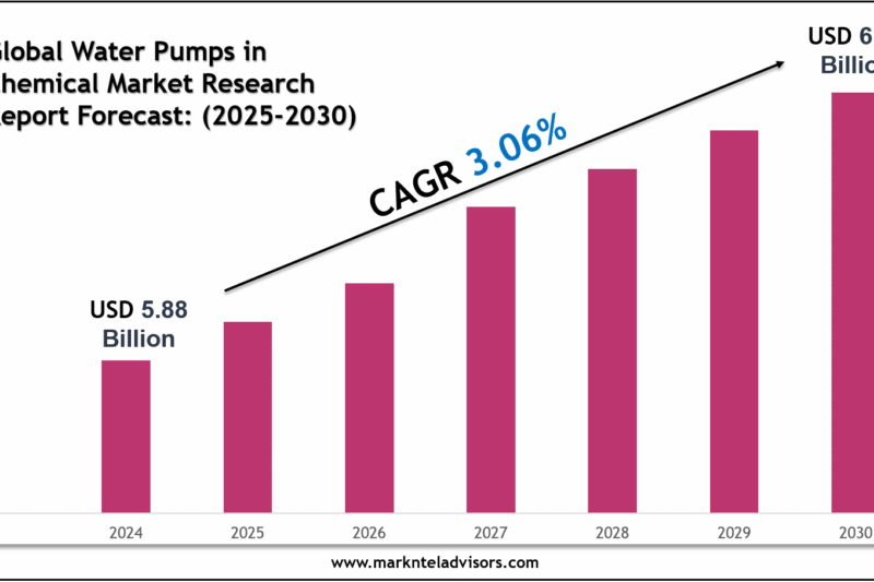 Water Pumps in Power Industry 2030: Size, Growth Drivers & Competitive Landscape