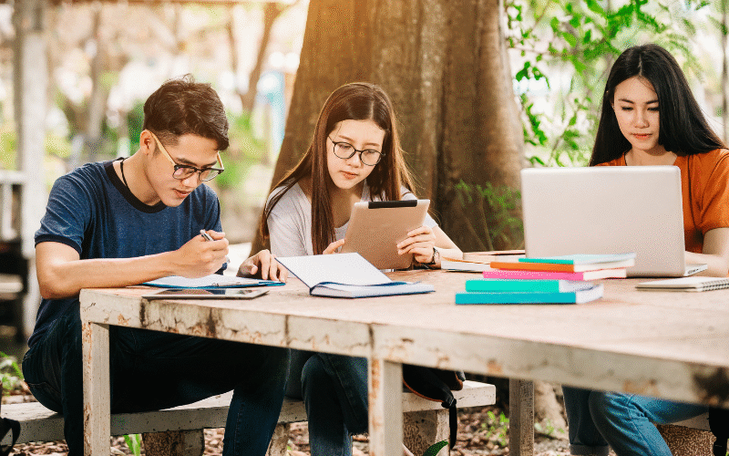 Why More Students Are Seeking Support for Long-Form Academic Projects?